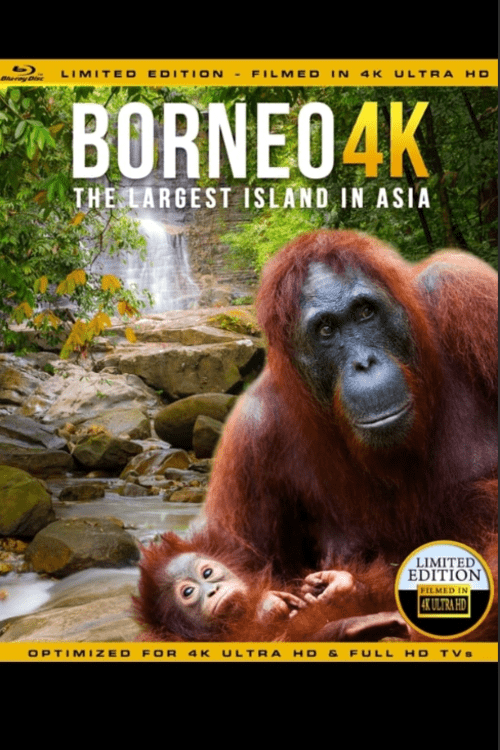 Borneo: The Fascination of Asia 4K 2017 DOCU Ultra HD 2160p