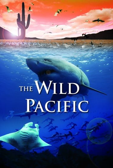 The Wild Pacific 4K 2016 Ultra HD 2160p