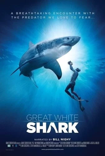 Great White Shark 4K DOCU 2013 Ultra HD 2160p