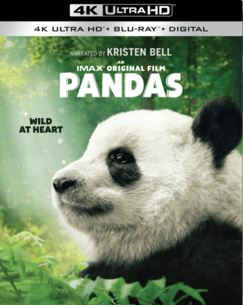 Pandas 4K 2018 DOCU Ultra HD 2160p